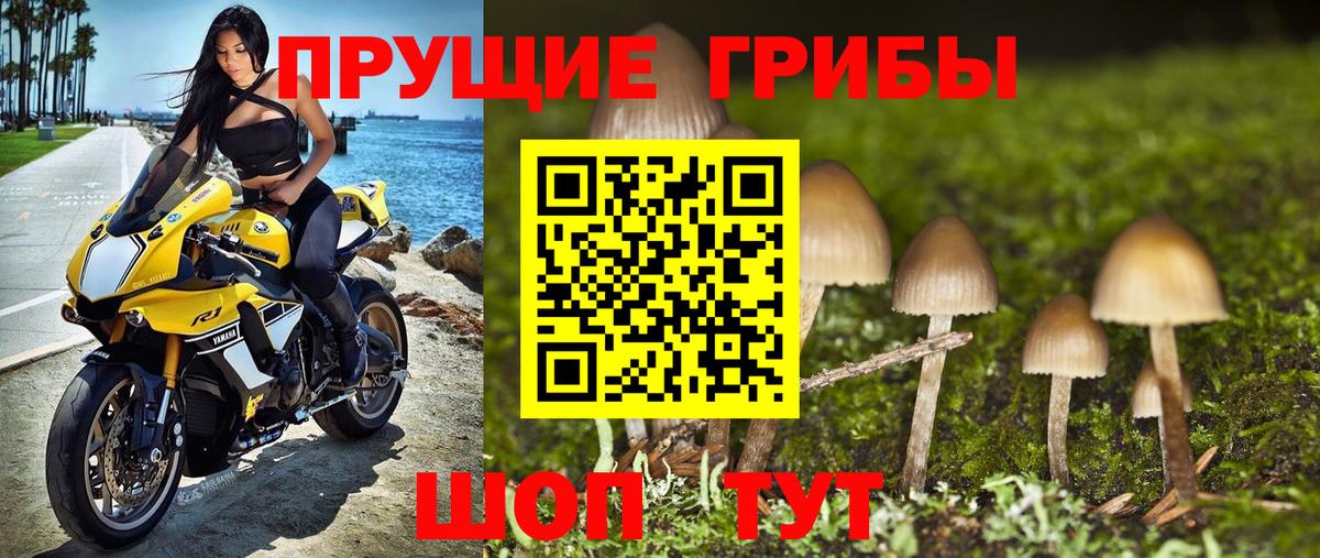 Галлюциногенные грибы Psilocybine cubensis  Вход с VPN  где продают   Губкинский 